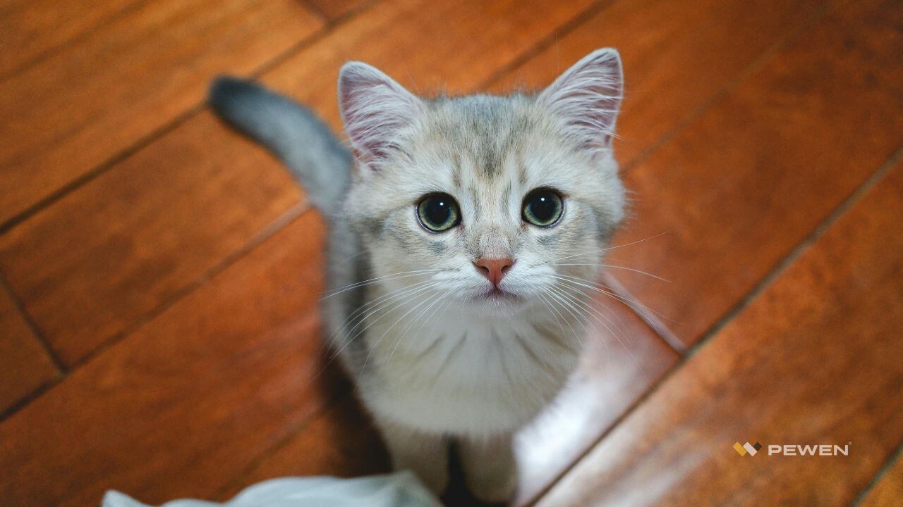 alt sol p.ingenieril